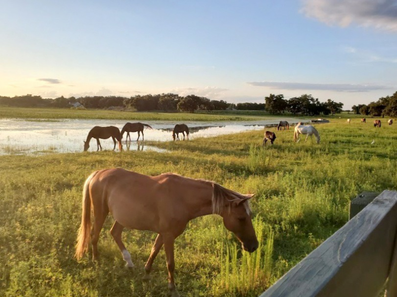 Lakeside Ranches